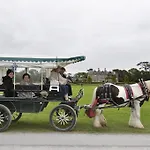 Shepherds Bed & Breakfast Killarney
