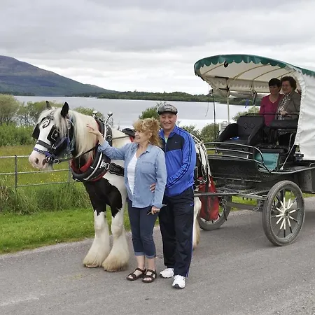 Shepherds 3* Killarney
