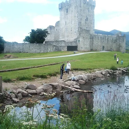 Oda ve Kahvaltı Shepherds