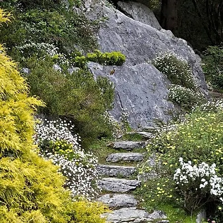 Shepherds Cill Airne