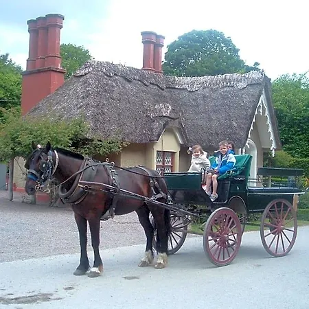 Bed & Breakfast Shepherds Cill Airne
