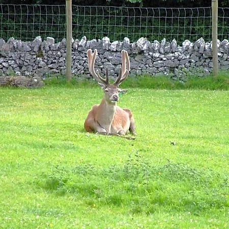 Bed & Breakfast Shepherds Cill Airne