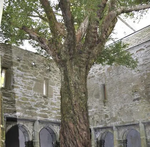 Oda ve Kahvaltı Shepherds Killarney