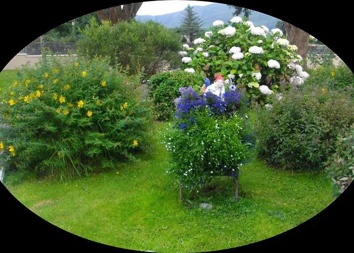 Bed & Breakfast Shepherds 3*