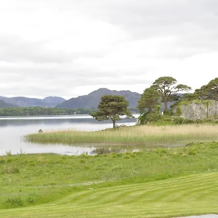 Shepherds Killarney