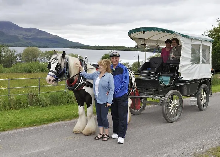 Shepherds 3* 킬라니