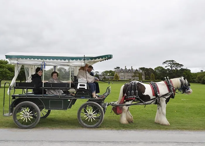 Shepherds B&B 킬라니